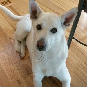 Meet your Posher, Kelsey